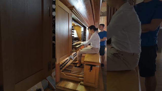 Louis Vierne: Toccata in b flat minor смотреть онлайн
