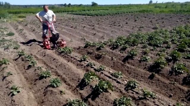 VID 20150621 1132111 смотреть онлайн