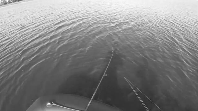 Рыбалка на Рыбинском водохранилище. Весёлая охота на окуня. Рыбалка на спиннинг. Рыбалка на хищника смотреть онлайн