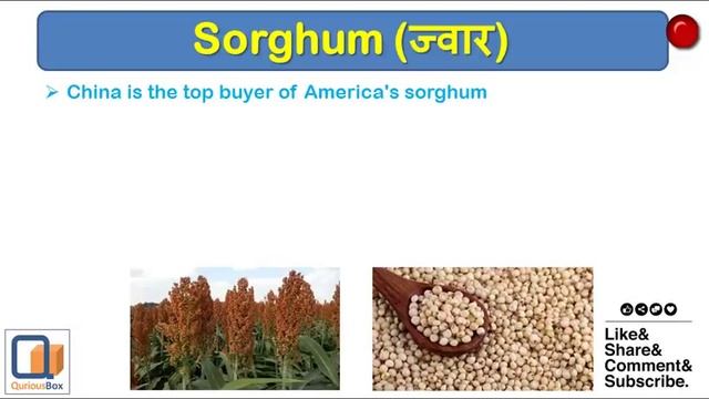 TradeWar - Who Will WIN? USA or China | QuriousBox смотреть онлайн