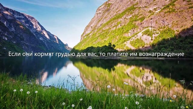 СУРА 65 «АТ-ТАЛАК» («РАЗВОД») | Омар Хишам смотреть онлайн