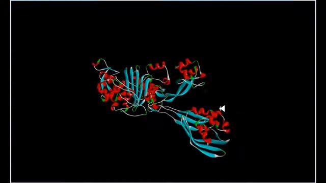An Open PDB File for PBP2a from NCBI Structure смотреть онлайн