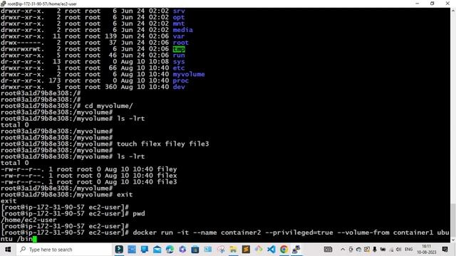Docker volume share one to another container смотреть онлайн