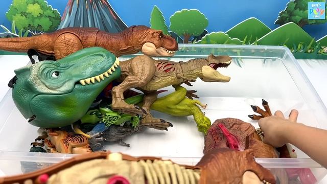 Dinosaur Tyrannosaurus Rex Box! T-Rex Head Robot Eggs  티라노사우루스 공룡