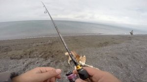 Ловля горбуши в море на резину от Батона.