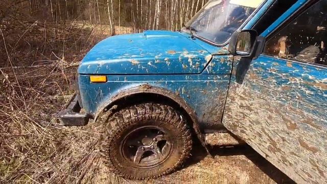 ВЛОГ/рододендроны после зимы/прогулка по саду смотреть онлайн