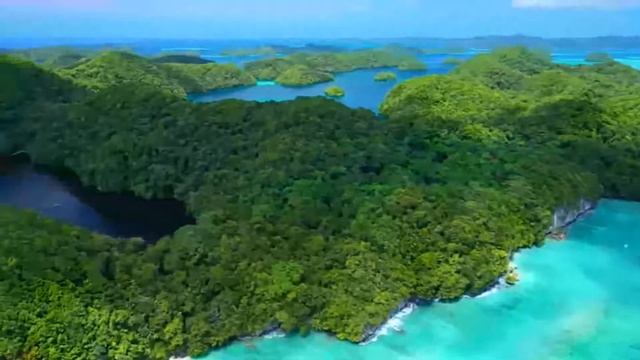 Модные обзоры с примерками