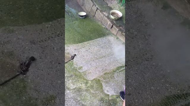 Karcher k7 premium грязевая фреза смотреть онлайн