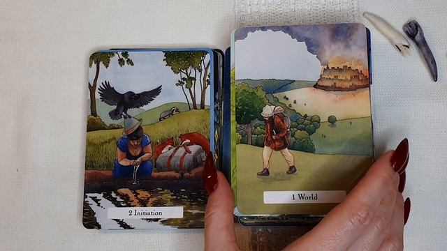 The Witches' Wisdom Tarot - Blind Buy! Unboxing, Walkthrough, First Impression смотреть онлайн