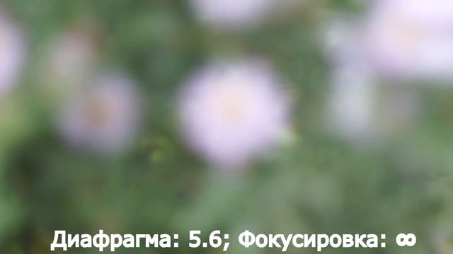 Советский объектив Helios 44-2 на Sony NEX-5 смотреть онлайн