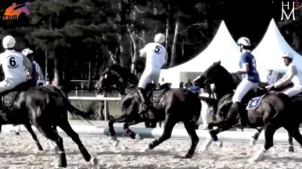 Horse-Ball : The most impressive equestrian sport