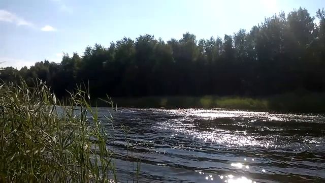 Покатушки на гидроцикле