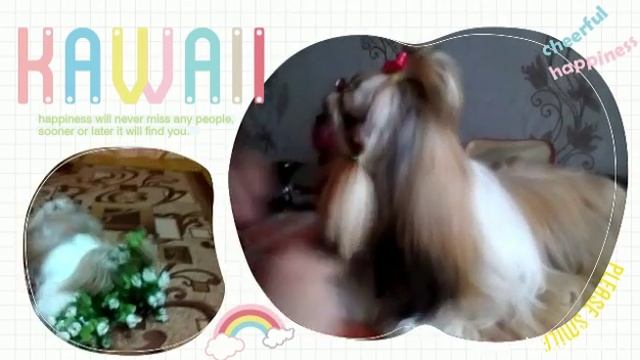 22 мая 2016 г.Причёска под музыку смотреть онлайн