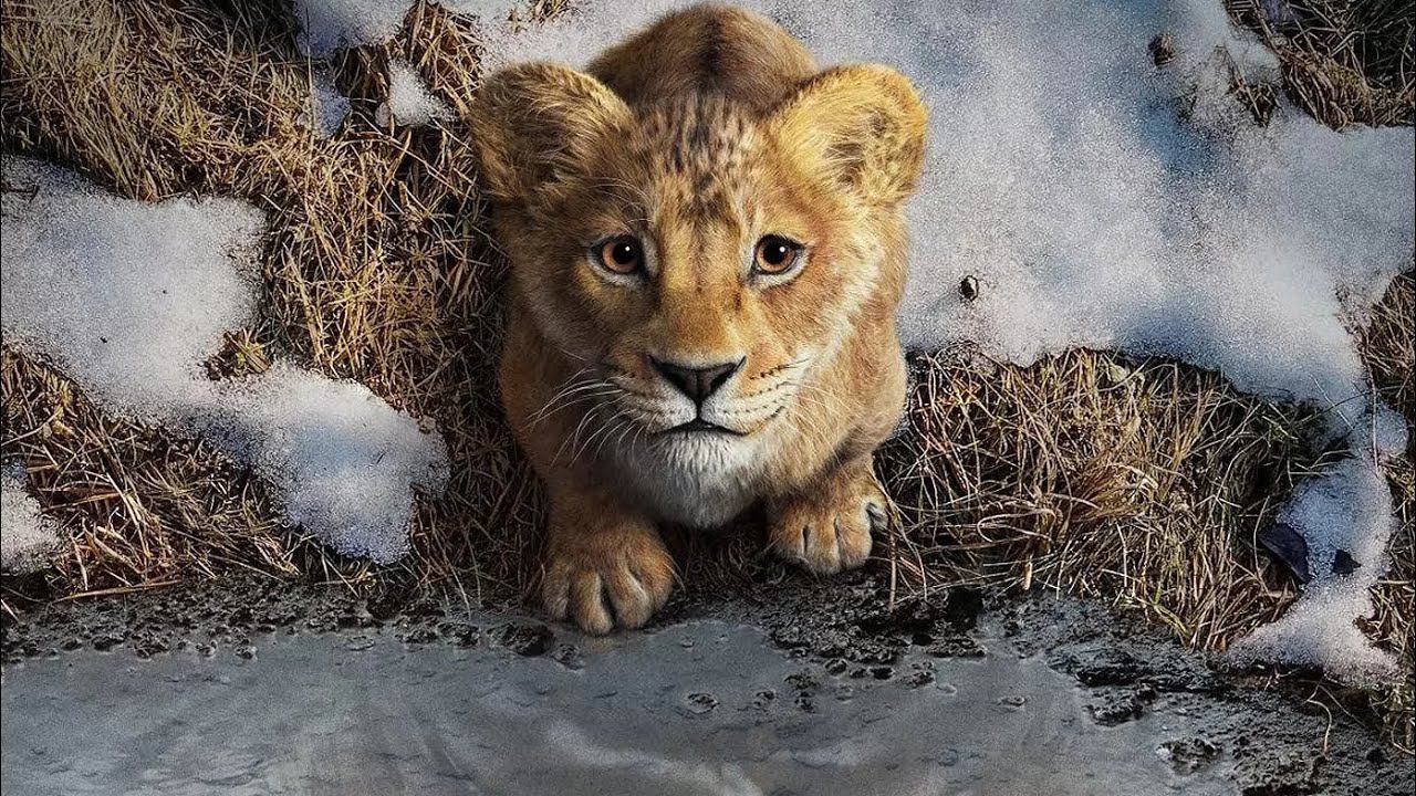 Муфаса: Король лев — Русский трейлер (Дубляж, 2024) смотреть онлайн