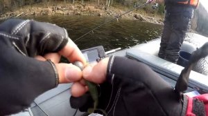 Рыбалка на Саяно-Шушенском водохранилище. Щука. Окунь. Осень 2020