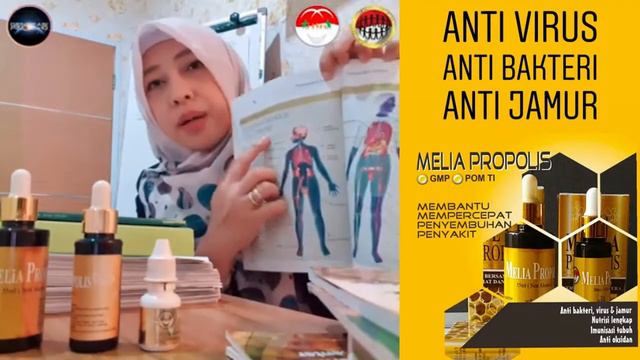 BEBERAPA JURNAL MEDIS TENTANG MANFAAT MELIA PROPOLIS. Oleh : Dr Kurniaty Gani смотреть онлайн