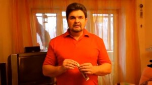 Как одеть ошейник на кошку