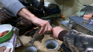 С КОМФОРТОМ НА ЛЬДУ! ЧАНЫ! Отличный клёв карася и судака! Ещё один рецепт мяса! Как обустроиться?