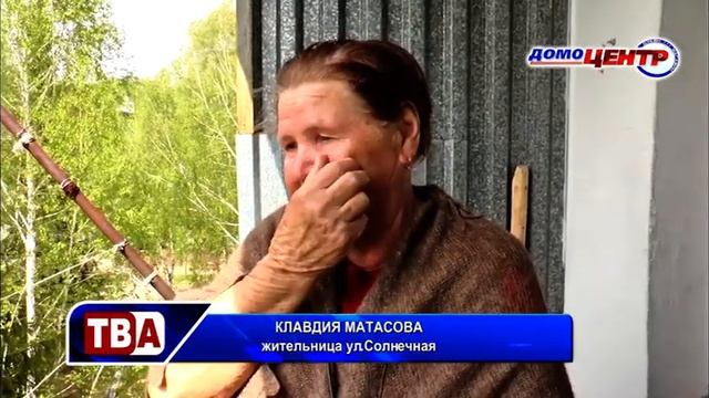 17 05 2019 Цветение ели – а Вы видели такое смотреть онлайн