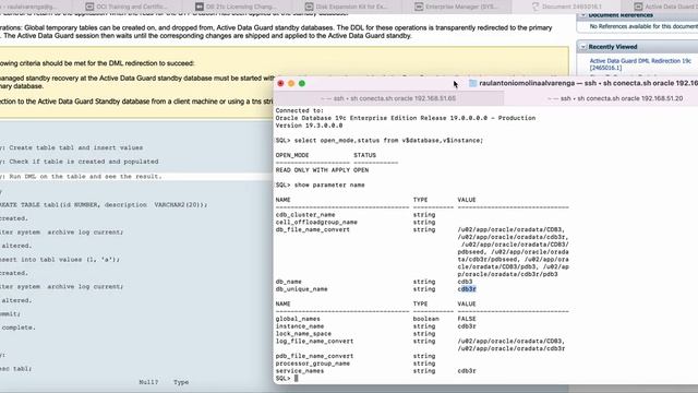 Oracle Database 19c: Active Dataguard DML Redirect смотреть онлайн