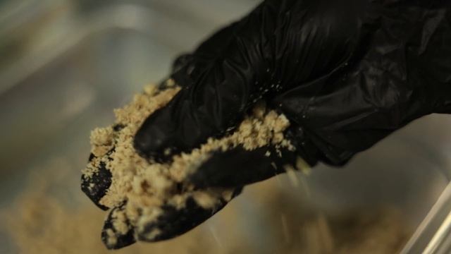 Измельчение миндаля на мясорубке МИМ-600 смотреть онлайн