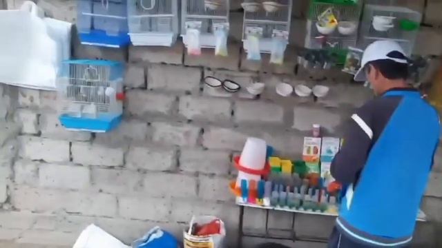 Молбозори Исфара