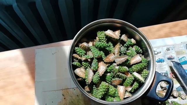 Мужская кухня. Варенье из шишек смотреть онлайн