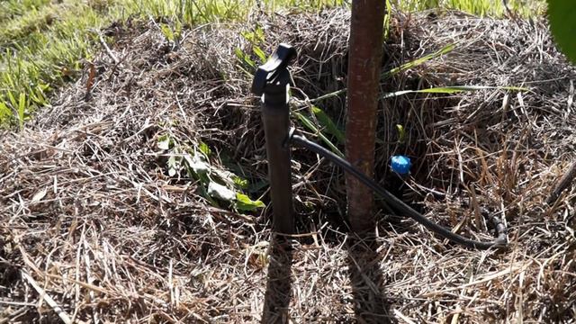 Система точечного полива смотреть онлайн