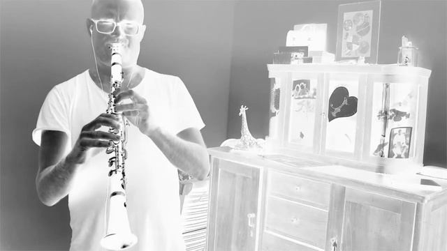 Havana, Camila Cabello (Clarinet Cover by Svenny G) смотреть онлайн