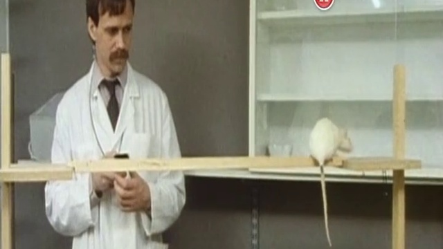  Как Увеличить смотреть онлайн