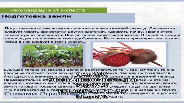 Основные принципы севооборота и что сажать после свеклы смотреть онлайн