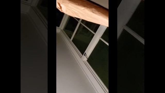 " The Root" смотреть онлайн