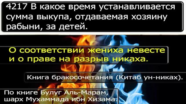 4217 В какое время устанавливается сумма выкупа, отдаваемая хозяину рабыни, за детей смотреть онлайн
