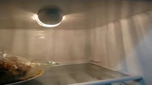 Холодильник Атлант: все время пищит; горит и сильно греется лампа