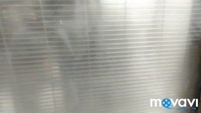 Цесарка снесла первое яйцо!!!!;) смотреть онлайн