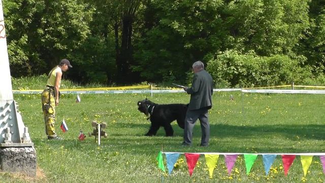 "Путёвка в жизнь". ОКД. смотреть онлайн