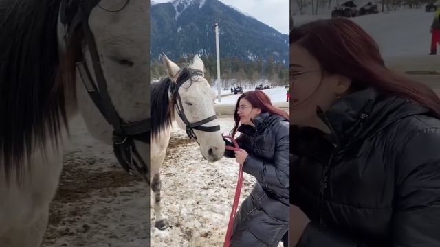 Самые дорогие лошади Life with horses Жизнь Отдых отпуск Жылкы #2023 #horse #лошади #асау #казахста смотреть онлайн