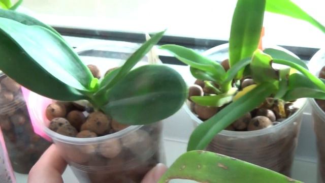 Great news! I got a new camera! | Sony hdr-cx405 Camcorder смотреть онлайн