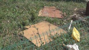 Загоны для кур на даче