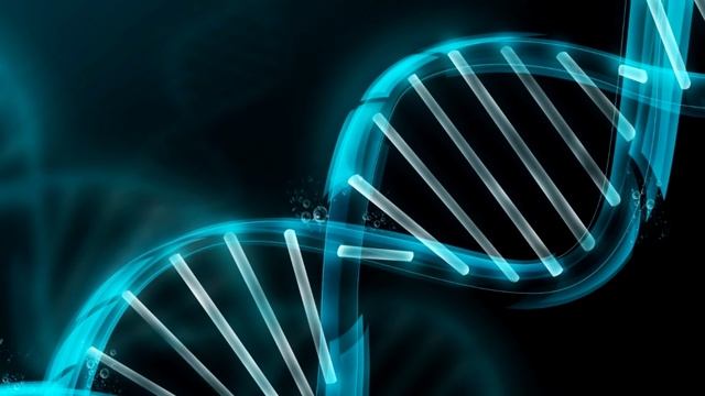 МОЖНО ЛИ СТАТЬ СУПЕРСОЛДАТОМ, КАК КАПИТАН АМЕРИКА? смотреть онлайн