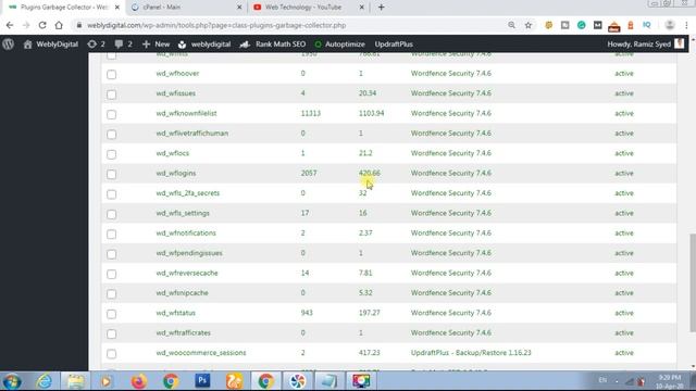 WordPress Database Cleanup Plugin Garbage Collector In Hindi смотреть онлайн