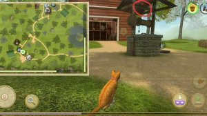 место нахождения всех 30 клубочков в симуляторе кота и кошки