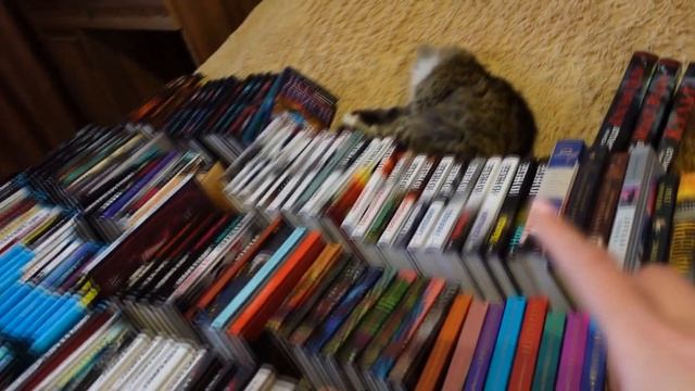 КНИЖНЫЕ ПОЛКИ С ТРИЛЛЕРАМИ И ДЕТЕКТИВАМИ | ПОЛНЫЙ РАЗБОР смотреть онлайн