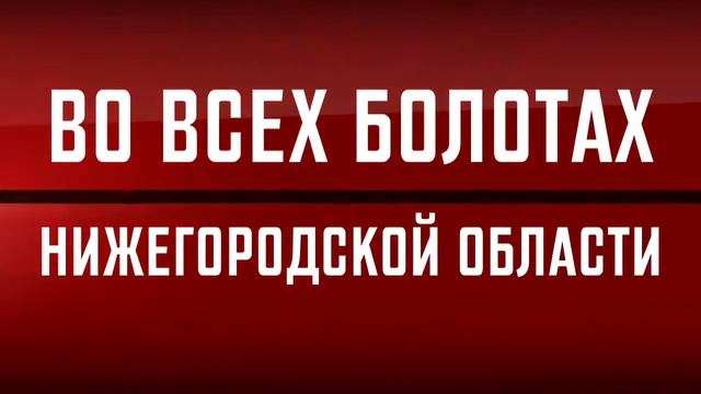 В ПОИСКАХ ПРИКЛЮЧЕНИЙ смотреть онлайн