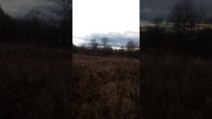 Деревня Мичково , Старицкий  р-н, Тверская обл.