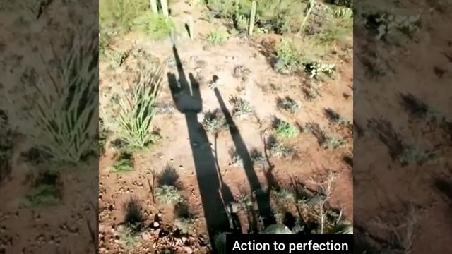 Lullaby(Aida Nikolaychuk) with the mesmerizing beauty of nature. смотреть онлайн