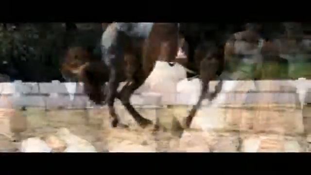 Ostwind musik Video смотреть онлайн