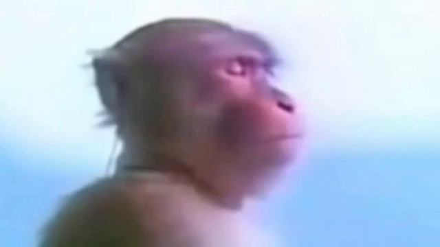 !!!Строго В Наушниках!!! смотреть онлайн