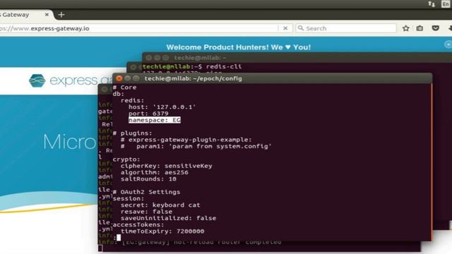 Express Gateway Detailed Demo смотреть онлайн