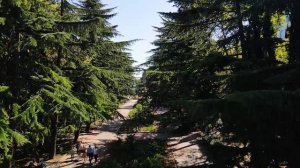 Рядом с отелем История Алушта, Крым